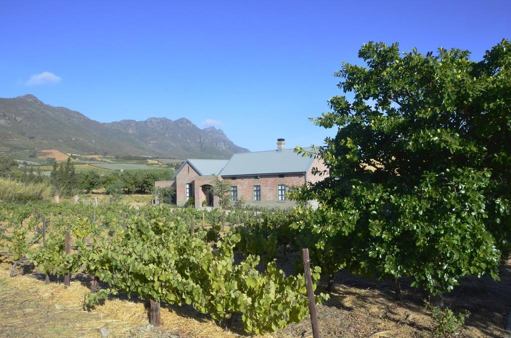 Vineyard Views Country House Riebeek-Kasteel Luaran gambar