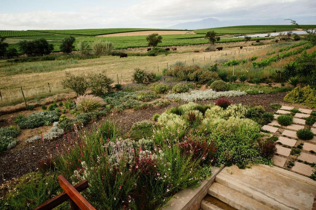 Vineyard Views Country House Riebeek-Kasteel Luaran gambar