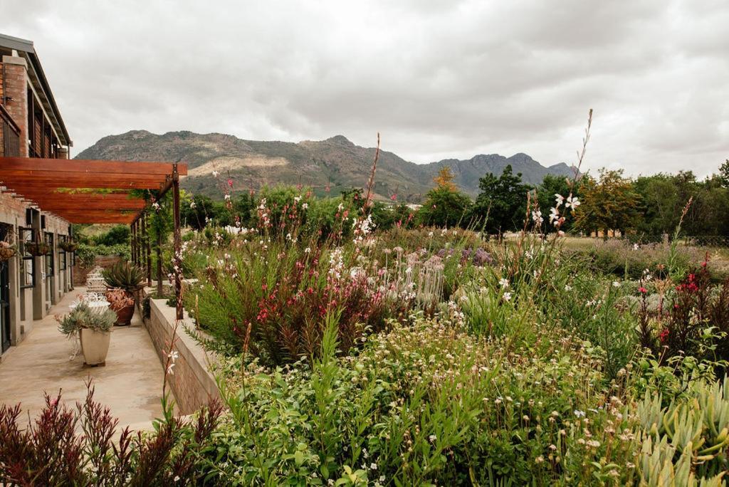 Vineyard Views Country House Riebeek-Kasteel Luaran gambar